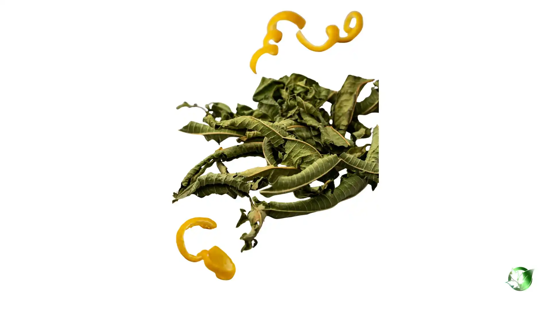Bulk Lemon Verbena | Suppliers | Wholesale | ParsaFood Global